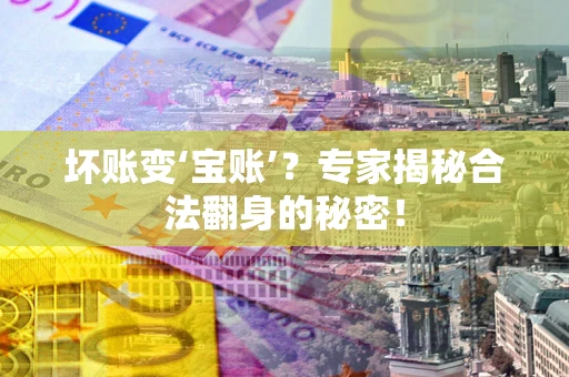 北京坏账变‘宝账’？专家揭秘合法翻身的秘密！