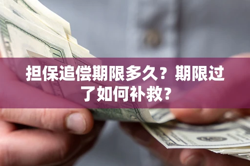 北京担保追偿期限多久？期限过了如何补救？