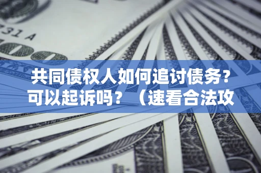 北京共同债权人如何追讨债务？可以起诉吗？（速看合法攻略）