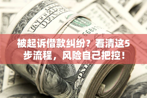 北京被起诉借款纠纷？看清这5步流程，风险自己把控！