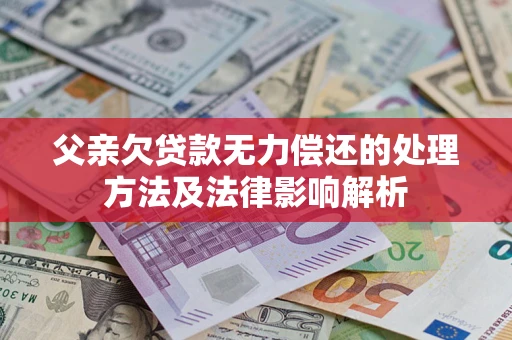 北京父亲欠贷款无力偿还的处理方法及法律影响解析